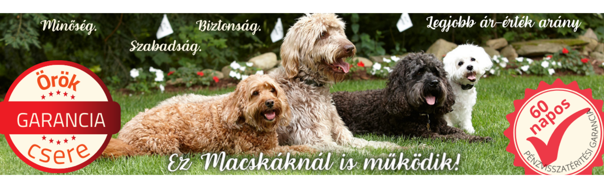 láthatatlan kerítés, kutyakerítés