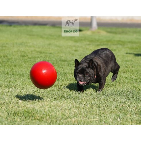 Gyakorlatilag elpusztíthatatlan labda L  - Best ball 15 cm