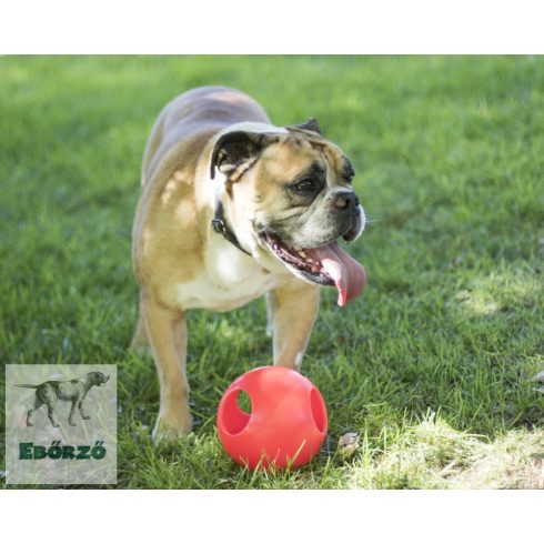 Soft-Flex Pawzzle Ball  L méret - narancs (15 cm)