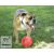 Soft-Flex Pawzzle Ball  L méret - narancs (15 cm)