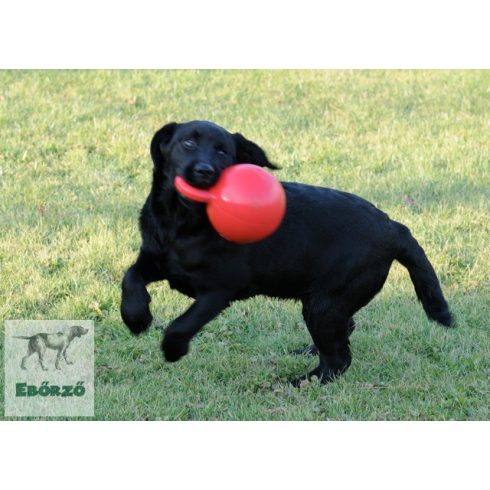 Soft-Flex Gripper Ball - Fogantyús labda (M méret)