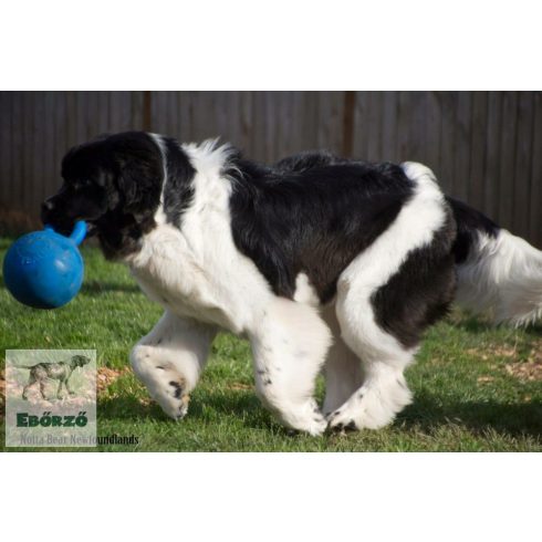 Soft-Flex Gripper Ball - Fogantyús labda (L méret)