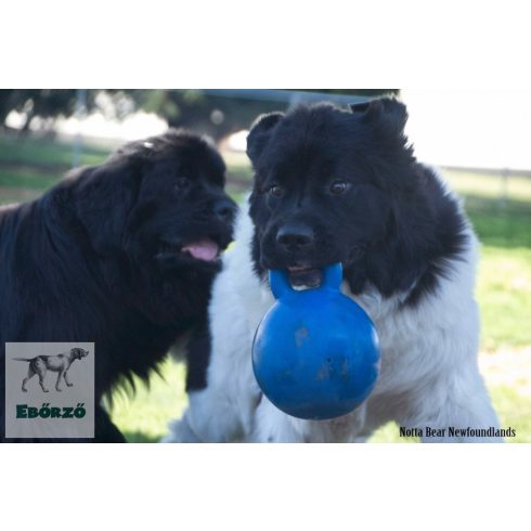 Soft-Flex Gripper Ball - Fogantyús labda (L méret)