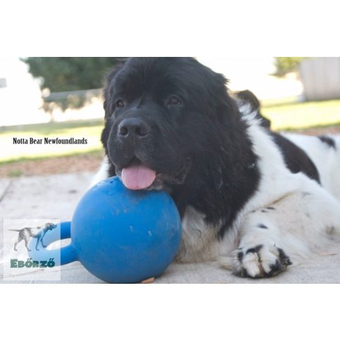 Soft-Flex Gripper Ball - Fogantyús labda (L méret)