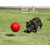 Gyakorlatilag elpusztíthatatlan labda XL - Best Ball 25 cm