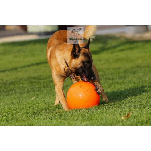 Gyakorlatilag elpusztíthatatlan labda XL - Best Ball 25 cm