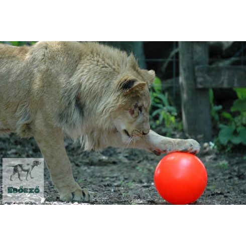 Gyakorlatilag elpusztíthatatlan labda XL - Best Ball 25 cm