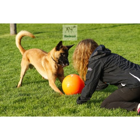 Gyakorlatilag elpusztíthatatlan labda XL - Best Ball 25 cm