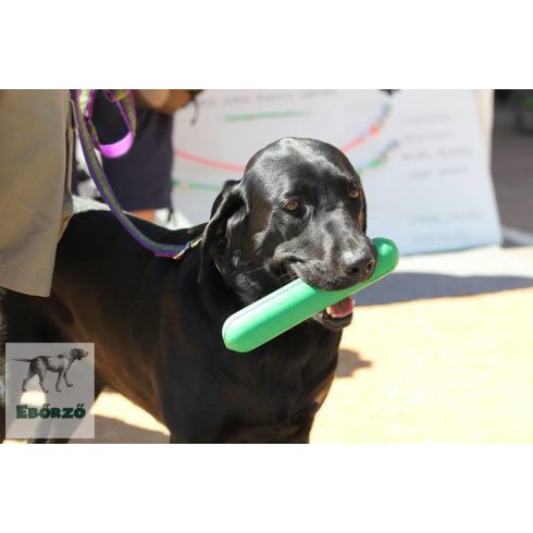 GoughNuts .75 zöld apport rúd (S méret)