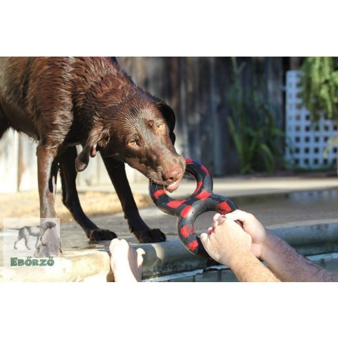 GoughNuts kettős karika fekete TUG (XL méret)