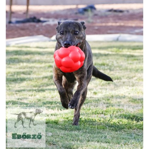 Soft-Flex -  Molekula labda 14 cm (piros)