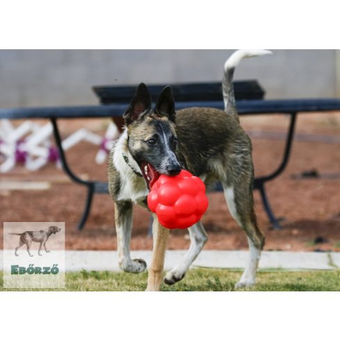 Soft-Flex -  Molekula labda 14 cm (piros)