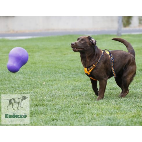 Gyakorlatilag elpusztíthatatlan  Tumbler labda (25 cm)