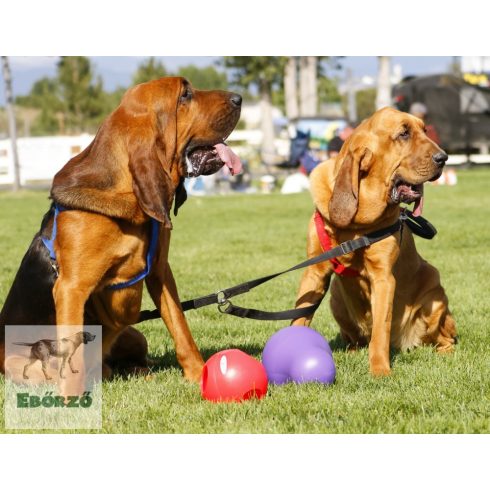 Gyakorlatilag elpusztíthatatlan  Tumbler labda (25 cm)