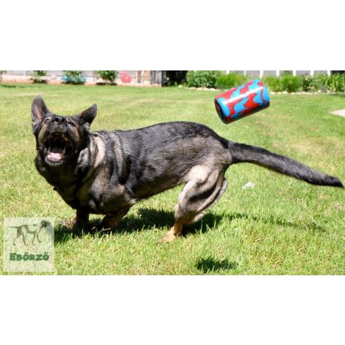 GoughNuts K9 Kup Fekete/piros