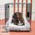 Deluxe Bolster Crate Pad™ ( Large )
