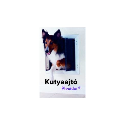 Kutyabejáró ajtó