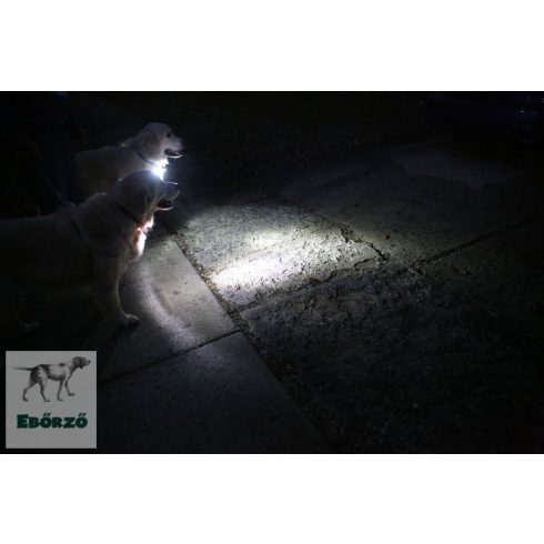 Világító nyakörv - kétszer fényesebb - Pup Light 2 