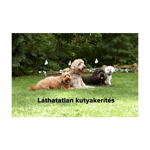 DOGWATCH® láthatatlan kutyakerítés, kiskutyáknak "S" csomag
