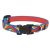 Lupine Original Collection Lollipop Adjustable Collar 1,25 cm width 16-22 cm -  For Small Dogs