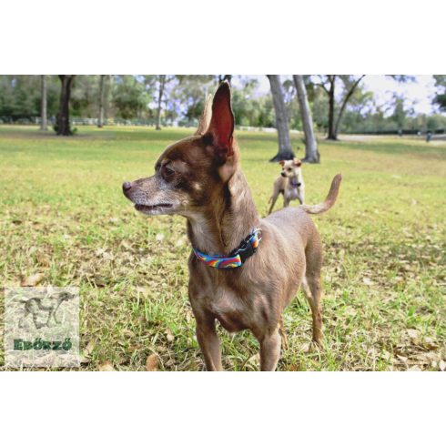 Lupine Original Designs Lollipop Padded Handle Leash 1,25 cm width 122 cm - For small dogs