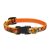 Lupine Original Collection Spooky Adjustable Collar 1,25 cm width 21-30 cm -  For Small Dogs