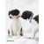 LUPINE nyakörv (Puppy Love 1,25 cm széles 26-40 cm)