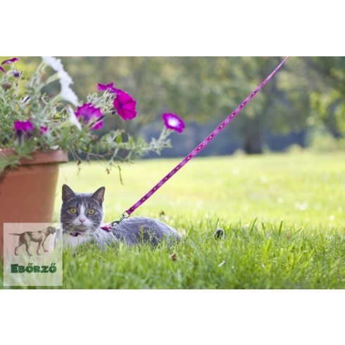 LUPINE H-hám (Puppy Love  1,25 cm széles 31-50 cm )