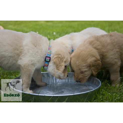 Lupine Original Collection Peace Pup Adjustable Collar 1,25 cm width 16-22 cm -  For Small Dogs