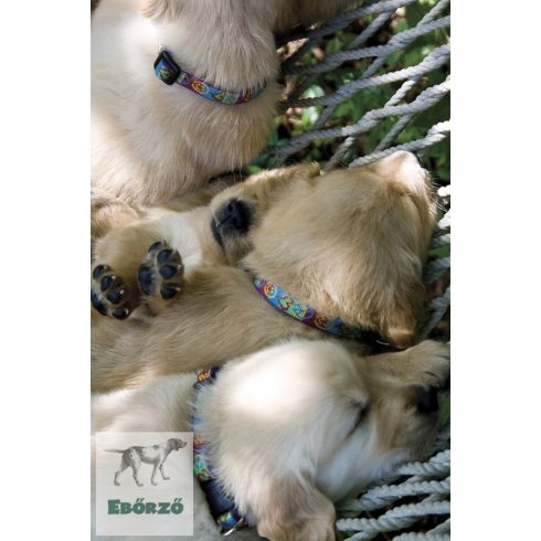 Lupine Original Collection Peace Pup Adjustable Collar 1,25 cm width 26-40 cm -  For Small Dogs