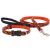 Lupine Original Collection Lucky Dragon Adjustable Collar 1,25 cm width 21-30 cm -  For Small Dogs
