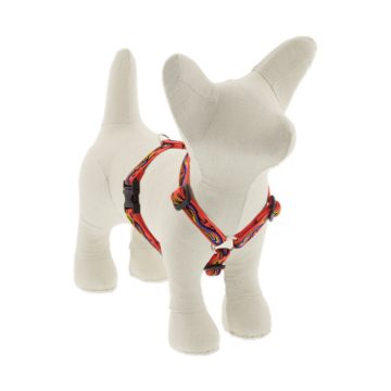   Lupine Original Collection Lucky Dragon Roman Harness  1,25 cm width 23-35 cm -  For small dogs and puppies