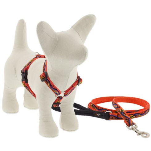 Lupine Original Collection Lucky Dragon Roman Harness  1,25 cm width 23-35 cm -  For small dogs and puppies