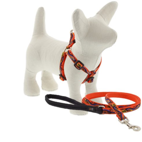 Lupine Original Collection Lucky Dragon Step In 1,25 cm width 26-33 cm -  For Small Dogs and Puppies