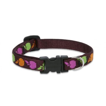   Lupine Original Collection Candy Apple Adjustable Collar 1,25 cm width 21-30 cm -  For Small Dogs