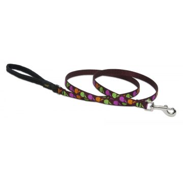   Lupine Original Designs Candy Apple Padded Handle Leash 1,25 cm width 122 cm - For small dogs