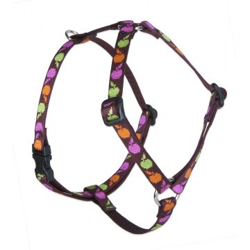   Lupine Original Collection Candy Apple Roman Harness  1,25 cm width 23-35 cm -  For small dogs and puppies
