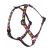 Lupine Original Collection Candy Apple Roman Harness  1,25 cm width 23-35 cm -  For small dogs and puppies