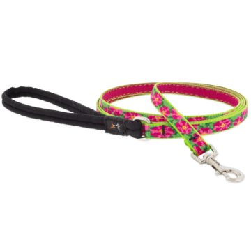   Lupine Original Designs Petunias Padded Handle Leash 1,25 cm width 183 cm - For small dogs