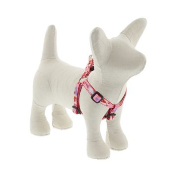   Lupine Original Collection Lovable Gnomes Step In 1,25 cm width 26-33 cm -  For Small Dogs and Puppies
