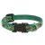 Lupine Original Collection Beetlemania Adjustable Collar 1,25 cm width 21-30 cm -  For Small Dogs