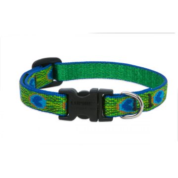   Lupine Original Collection Tail Feathers Adjustable Collar 1,25 cm width 21-30 cm -  For Small Dogs