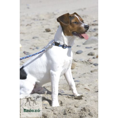 Lupine Original Designs Muddy Paws Padded Handle Leash 1,25 cm width 183 cm - For small dogs