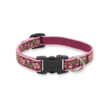   Lupine Original Collection Cherry Blossom Adjustable Collar 1,25 cm width 16-22 cm -  For Small Dogs