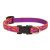 Lupine Original Collection Alpen Glow Adjustable Collar 1,25 cm width 21-30 cm -  For Small Dogs