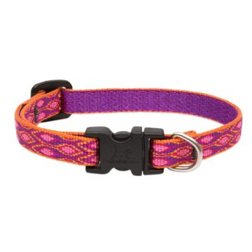   Lupine Original Collection Alpen Glow Adjustable Collar 1,25 cm width 26-40 cm -  For Small Dogs