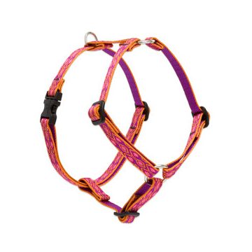   Lupine Original Collection Alpen Glow Roman Harness  1,25 cm width 23-35 cm -  For small dogs and puppies