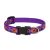 Lupine Original Collection Spring Fling Adjustable Collar 1,25 cm width 16-22 cm -  For Small Dogs