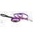 Lupine Original Collection Spring Fling Adjustable Collar 1,25 cm width 16-22 cm -  For Small Dogs