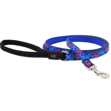  Lupine Original Designs Social Butterfly Padded Handle Leash 1,25 cm width 122 cm - For small dogs
